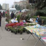 IMG-c6efcd83d1b28b44d76ea9fcabb8961a-V