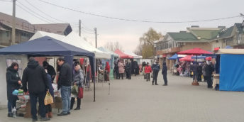 Expo-tîrg universal  „Toamna la Făleşti”