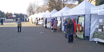 La Bălţi a fost dat startul expo-târgurilor specializate Agroteh şi Alimentar Expo